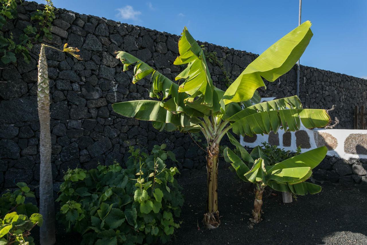 Villa El Jable Lanzarote テギセ エクステリア 写真